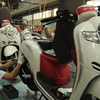Momen Kemerdekaan, PT AHM Luncurkan Scoopy Warna Baru, Ini Harganya