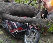  Warga Cilegon Histeris, Motor Yamaha NMAX Luka Parah, Pemotor Patah Tangan Tertimpa Pohon Tumbang