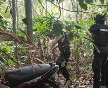 Lumajang Geger, Tim Cobra Temukan Motor Bodong di Kebun Kopi, 1 Motor Roda Tiga Ditutupi Daun Kering