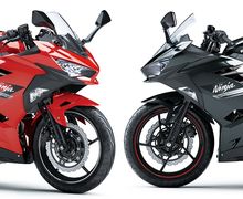 Kawasaki Ninja 250 2021 Dapat Warna Baru, Ini Daftar Harganya