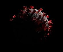 Mutasi Virus Corona dari Inggris Sudah Masuk Indonesia, Ini Gejalanya
