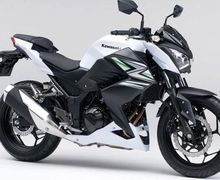 Buruan Sikat Motor Baru Kawasaki Z250, Harganya Turun Segini Stok Terbatas
