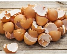 Jangan Buang Kulit Telur, Ini 5 Manfaat Tersembunyi yang Tidak Kamu Tahu