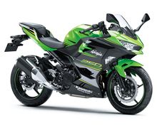 Ini 6 Pilihan Warna Baru New Kawasaki Ninja 250, Salah Satunya Jadi Andalan!