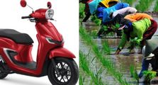 Gen Z Buruan Daftar Mentan Buka Lowongan Jadi Petani Milenial Pendapatan Per Bulan Setara Honda Stylo