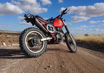 Honda xl600 Scrambler