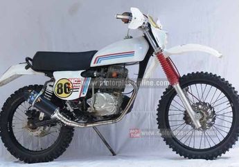 trail honda tiger