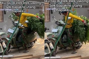 Dipakai angkut rumput setelah ngarit, motor Vespa Rp 56 jutaan ini bikin salah fokus.