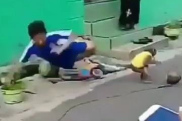 Monyet ugal-ugalan bikin satu bocah terpelanting keras