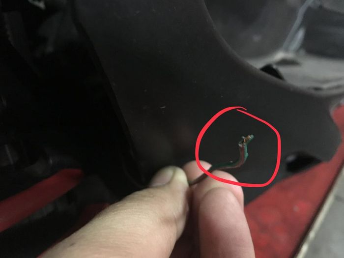 Kabel di sekitar radiator NMAX digigit tikus