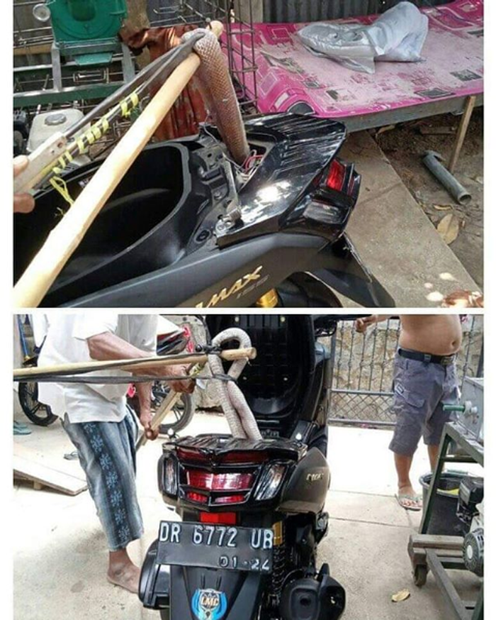 Ada ular yang bersembunyi di dalam <a href='https://pontianak.tribunnews.com/tag/yamaha-nmax' title='Yamaha NMAX'>Yamaha NMAX</a>