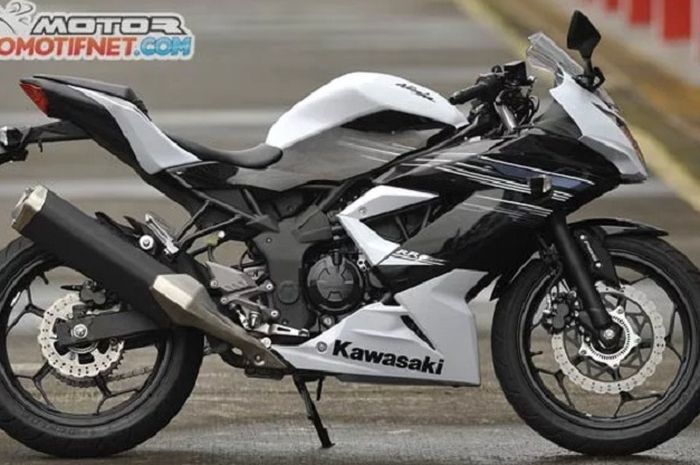 Kawasaki Ninja 250 RR Mono