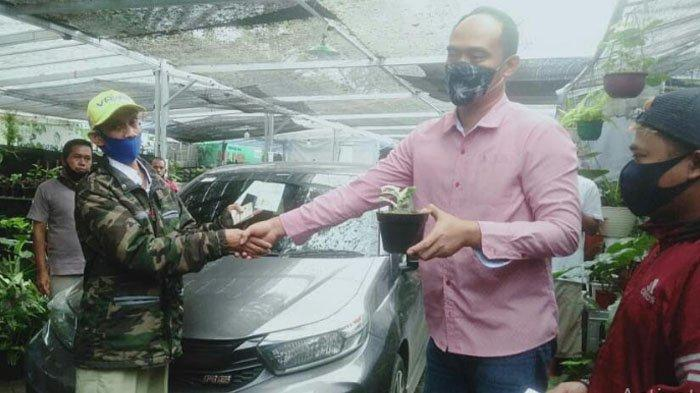 Gokil, Satu Unit Honda Brio Ditukar dengan Tanaman Hias Janda Bolong