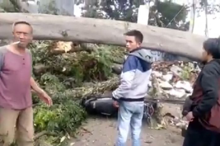 Video Detik Detik Pohon Besar Tumbang Hancurkan Pangkalan
