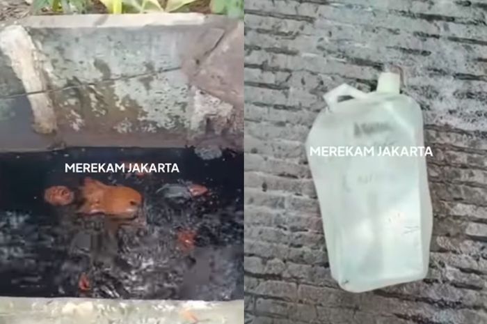 Disiram Air Keras, Pemotor Ini Menceburkan Diri Ke Selokan, Pelaku ...