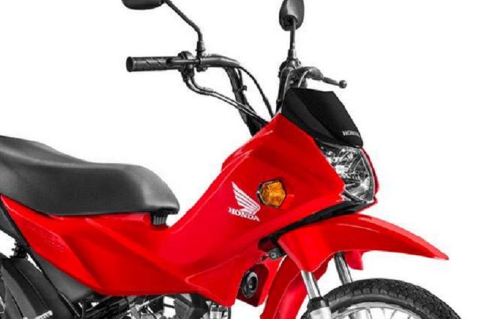 76+ Gambar Ayam Jago Keren 76+ Gambar Ayam Jago Keren